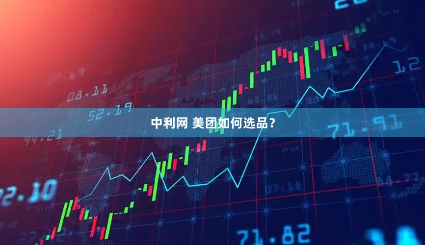 中利网 美团如何选品？