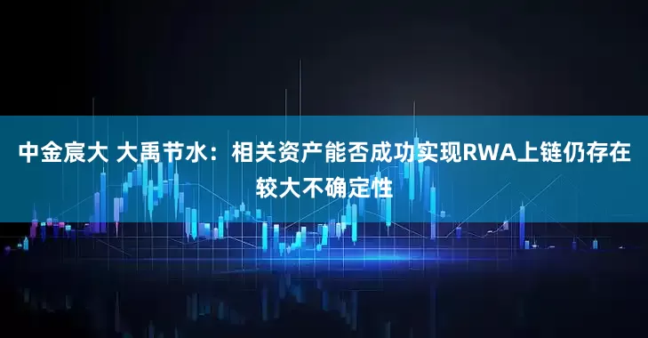 中金宸大 大禹节水：相关资产能否成功实现RWA上链仍存在较大不确定性